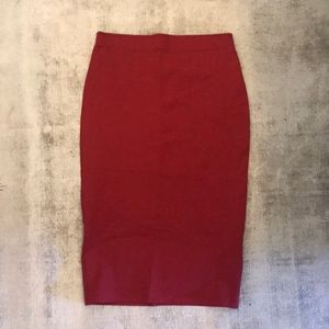 Zara Traulific Skirt